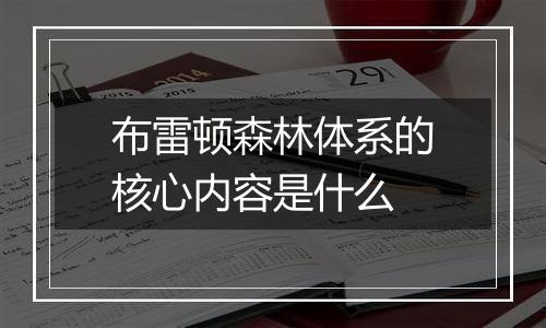 布雷顿森林体系的核心内容是什么