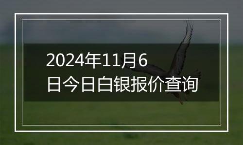 2024年11月6日今日白银报价查询