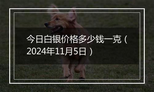 今日白银价格多少钱一克（2024年11月5日）