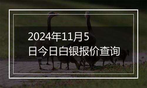 2024年11月5日今日白银报价查询