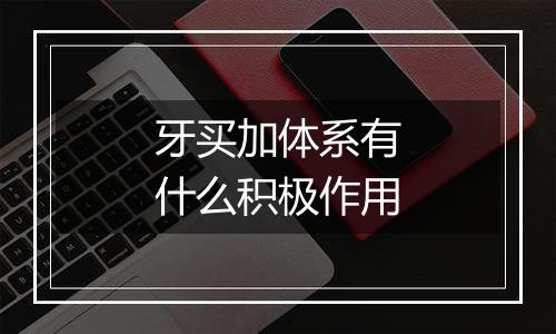 牙买加体系有什么积极作用