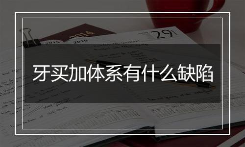 牙买加体系有什么缺陷