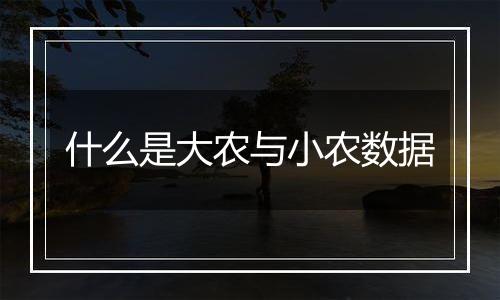 什么是大农与小农数据