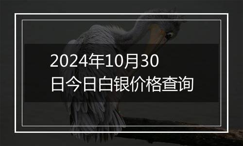 2024年10月30日今日白银价格查询