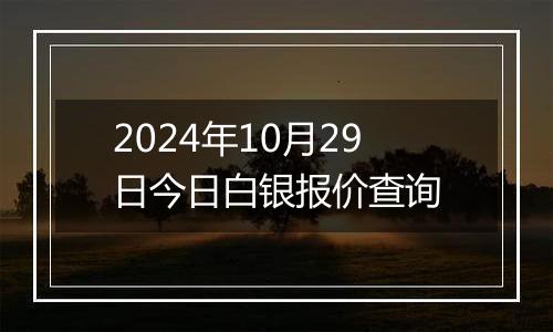 2024年10月29日今日白银报价查询