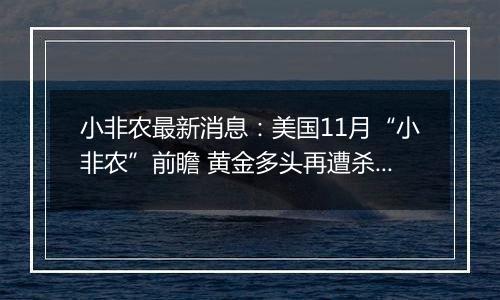 小非农最新消息：美国11月“小非农”前瞻 黄金多头再遭杀戮？