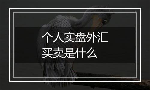 个人实盘外汇买卖是什么