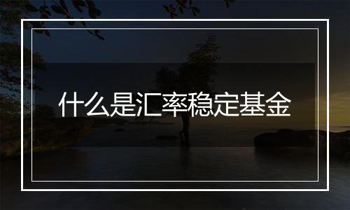 什么是汇率稳定基金