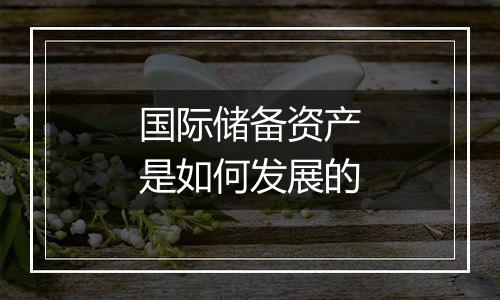 国际储备资产是如何发展的