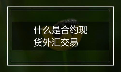 什么是合约现货外汇交易