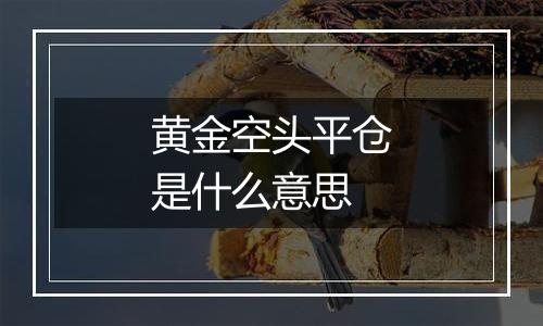 黄金空头平仓是什么意思