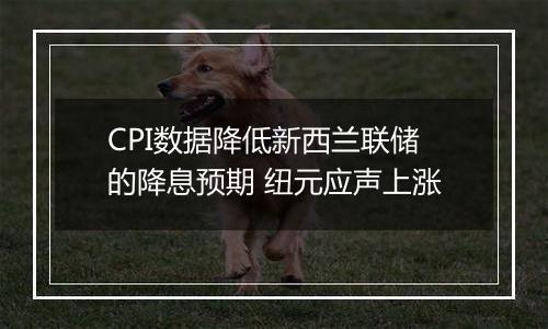 CPI数据降低新西兰联储的降息预期 纽元应声上涨