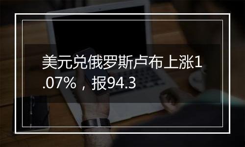 美元兑俄罗斯卢布上涨1.07%，报94.3