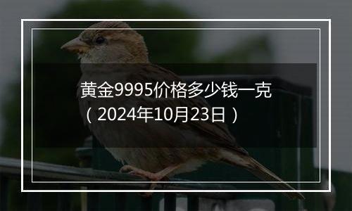 黄金9995价格多少钱一克（2024年10月23日）