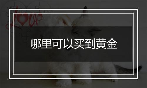 哪里可以买到黄金