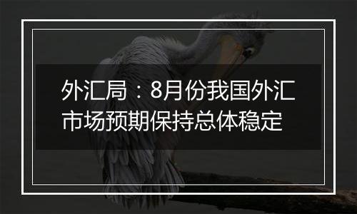 外汇局：8月份我国外汇市场预期保持总体稳定