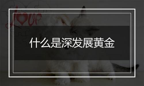 什么是深发展黄金