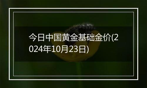 今日中国黄金基础金价(2024年10月23日)