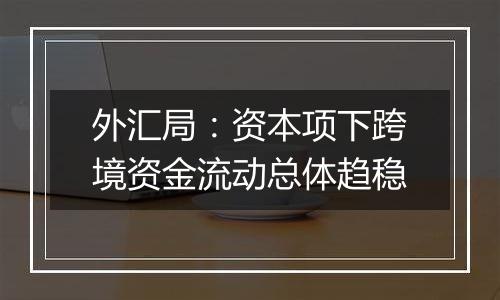 外汇局：资本项下跨境资金流动总体趋稳