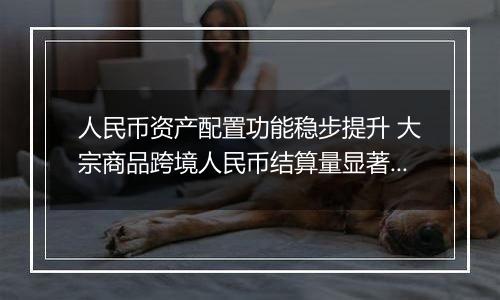 人民币资产配置功能稳步提升 大宗商品跨境人民币结算量显著增长