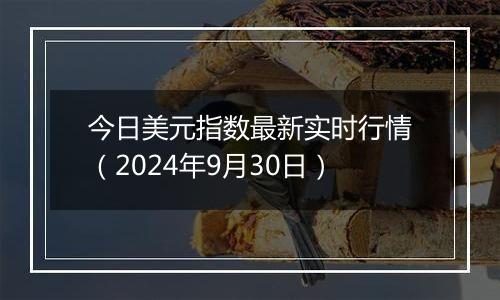 今日美元指数最新实时行情（2024年9月30日）