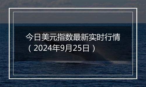 今日美元指数最新实时行情（2024年9月25日）