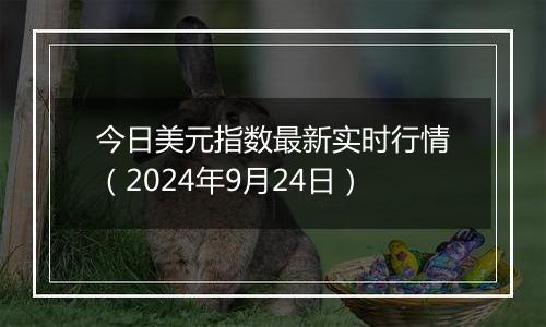 今日美元指数最新实时行情（2024年9月24日）