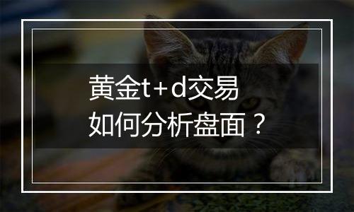 黄金t+d交易如何分析盘面？