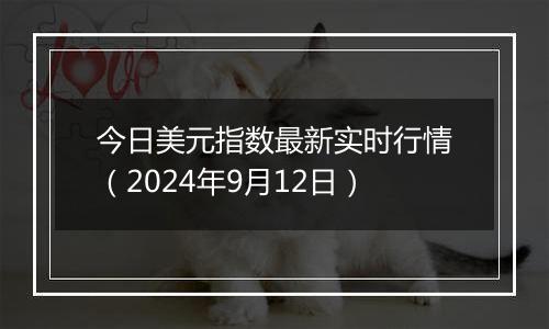 今日美元指数最新实时行情（2024年9月12日）