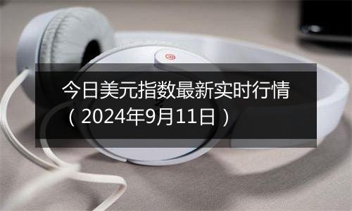 今日美元指数最新实时行情（2024年9月11日）