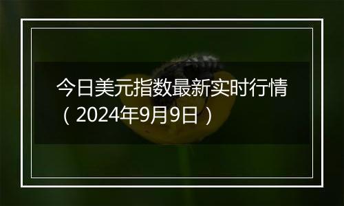 今日美元指数最新实时行情（2024年9月9日）