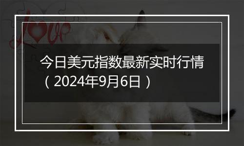 今日美元指数最新实时行情（2024年9月6日）