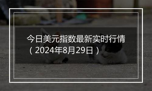 今日美元指数最新实时行情（2024年8月29日）