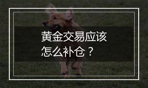 黄金交易应该怎么补仓？