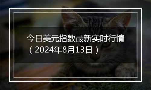 今日美元指数最新实时行情（2024年8月13日）