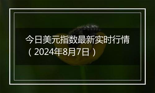 今日美元指数最新实时行情（2024年8月7日）