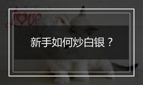 新手如何炒白银？