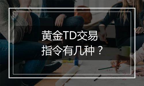 黄金TD交易指令有几种？