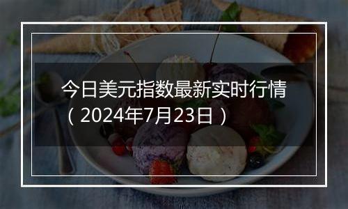 今日美元指数最新实时行情（2024年7月23日）