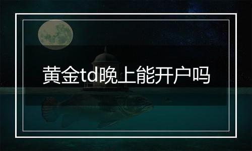 黄金td晚上能开户吗