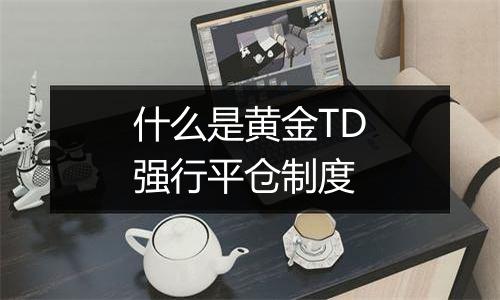 什么是黄金TD强行平仓制度