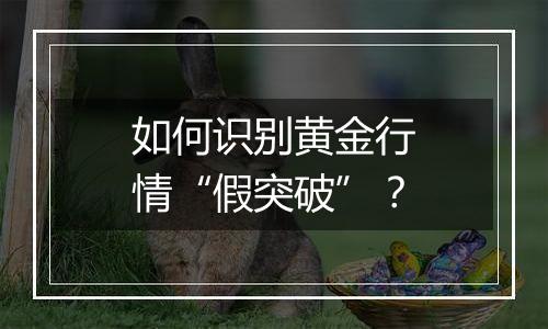 如何识别黄金行情“假突破”？