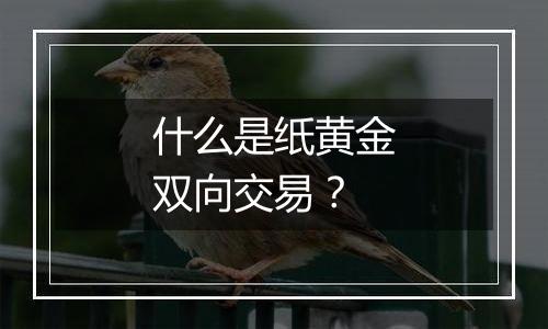 什么是纸黄金双向交易？