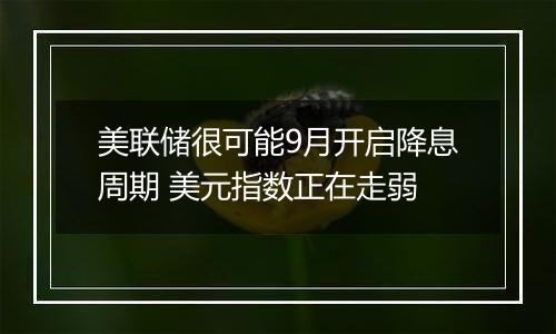 美联储很可能9月开启降息周期 美元指数正在走弱