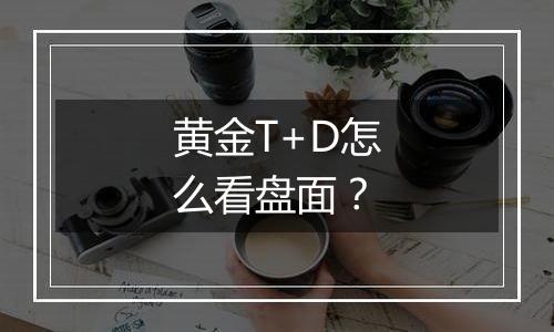 黄金T+D怎么看盘面？