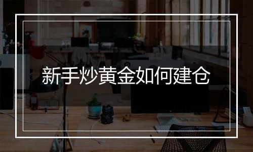 新手炒黄金如何建仓