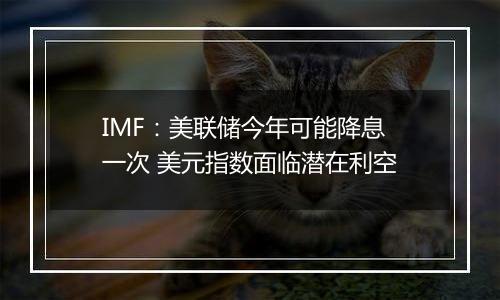 IMF：美联储今年可能降息一次 美元指数面临潜在利空