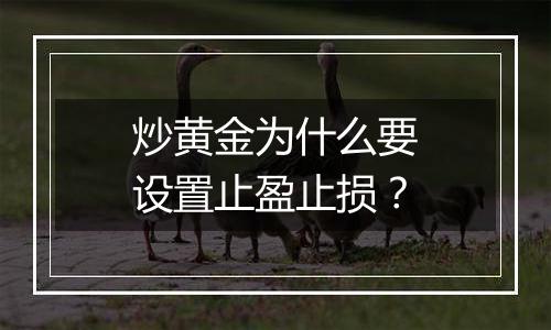 炒黄金为什么要设置止盈止损？