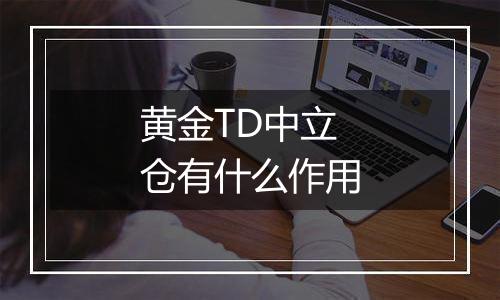 黄金TD中立仓有什么作用