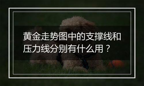 黄金走势图中的支撑线和压力线分别有什么用？